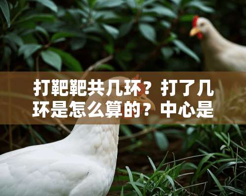 打靶靶共几环？打了几环是怎么算的？中心是几环？