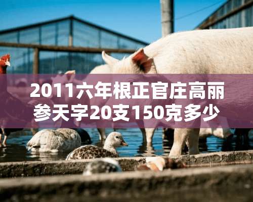 2011六年根正官庄高丽参天字20支150克多少钱？