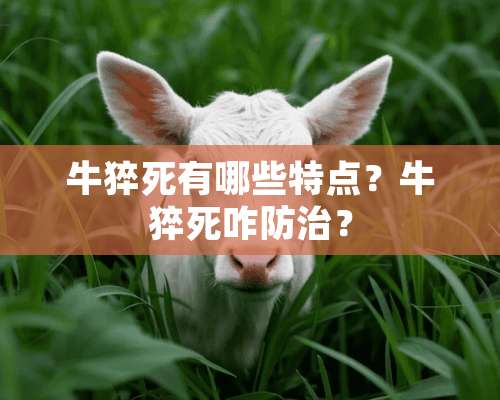 牛猝死有哪些特点？牛猝死咋防治？