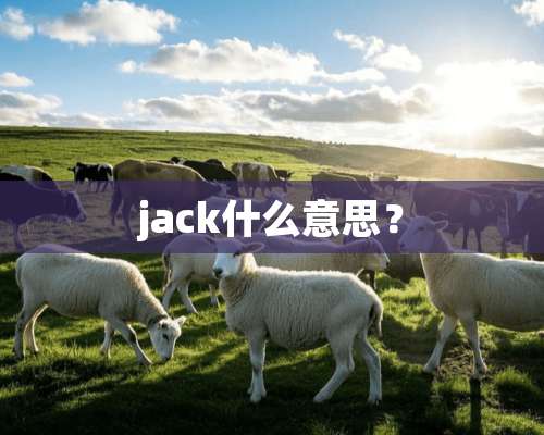 jack什么意思？