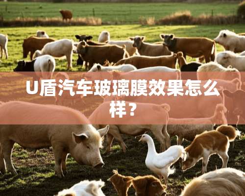 U盾汽车玻璃膜效果怎么样？