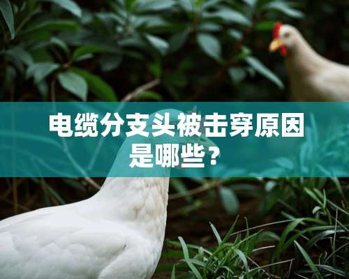 电缆分支头被击穿原因是哪些？