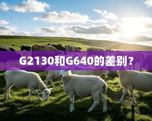 G2130和G640的差别？