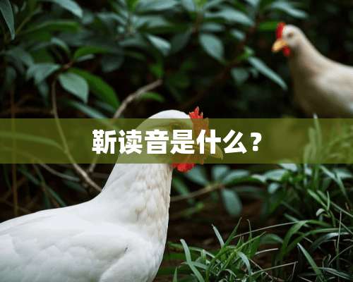 靳读音是什么？