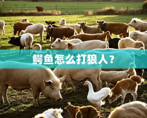 鳄鱼怎么打狼人？