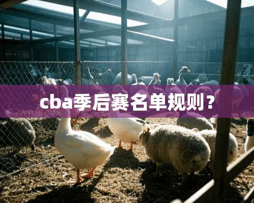 cba季后赛名单规则？