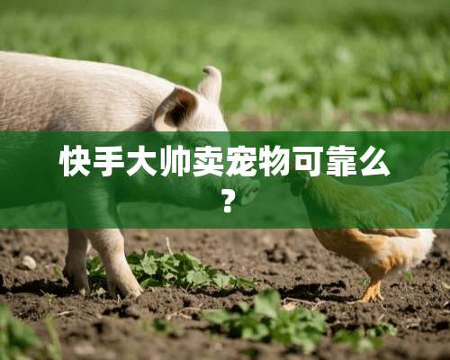 快手大帅卖宠物可靠么？