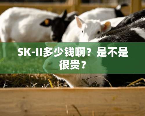 SK-II多少钱啊？是不是很贵？