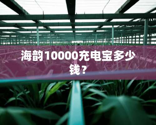 海韵10000充电宝多少钱？