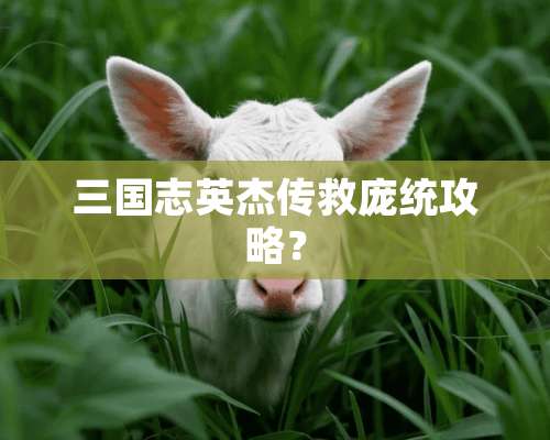 三国志英杰传救庞统攻略？