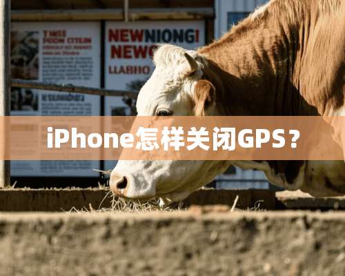 iPhone怎样关闭GPS？