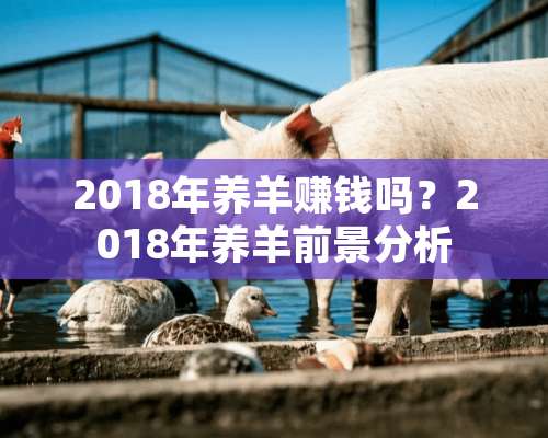 2018年养羊赚钱吗？2018年养羊前景分析