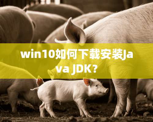 win10如何下载安装Java JDK？