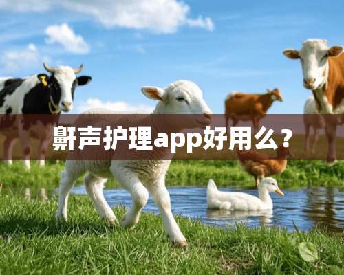 鼾声护理app好用么？