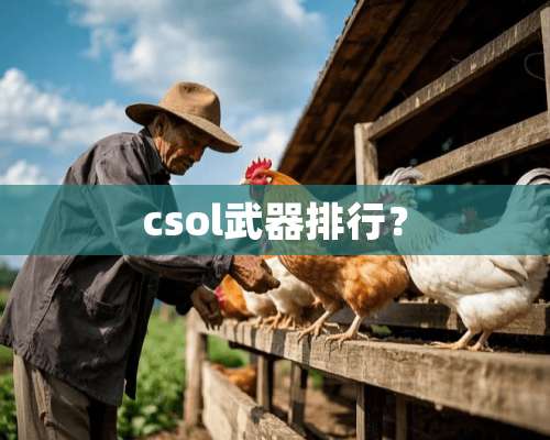 csol**排行？