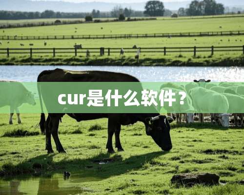 cur是什么软件？