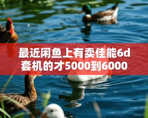 最近闲鱼上有卖佳能6d套机的才5000到6000左右，可以相信吗？