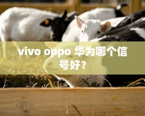 vivo oppo 华为哪个信号好？