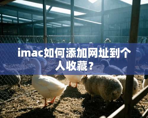 imac如何添加网址到个人收藏？