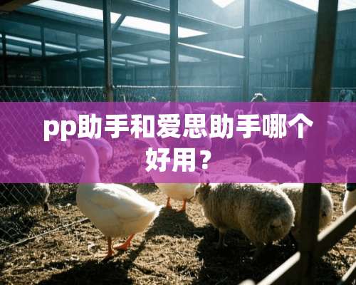 pp助手和爱思助手哪个好用？