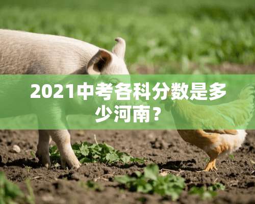 2021中考各科分数是多少河南？