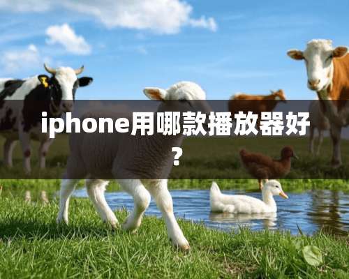 iphone用哪款播放器好？