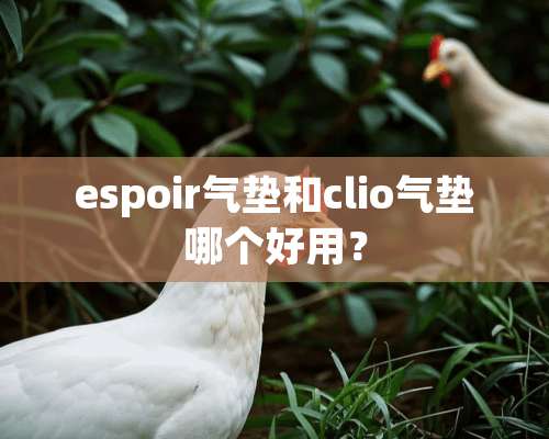 espoir气垫和clio气垫哪个好用？