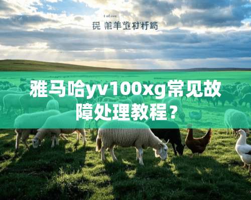 ***yv100xg常见故障处理教程？