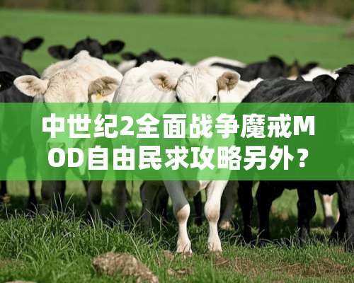 中世纪2全面战争魔戒MOD自由民求攻略另外？