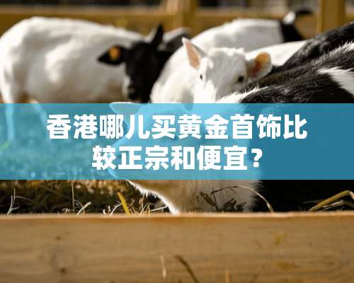 香港哪儿买黄金首饰比较正宗和便宜？