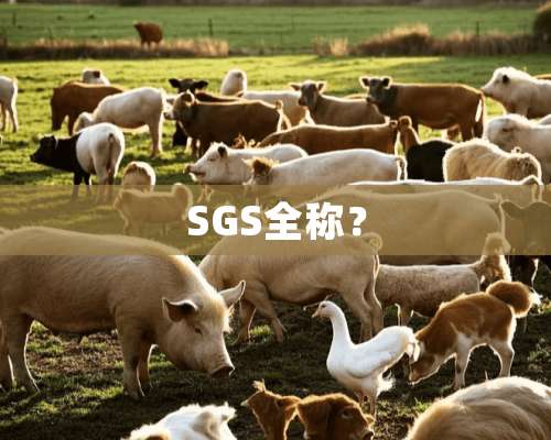 SGS全称？