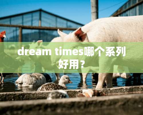 dream times哪个系列好用？