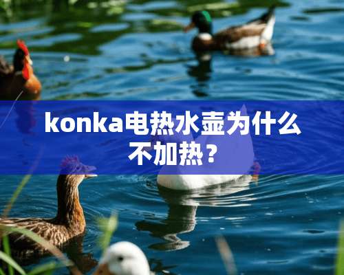 konka电热水壶为什么不加热？