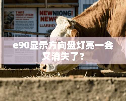 e90显示方向盘灯亮一会又消失了？