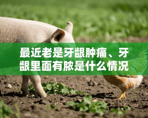 最近老是牙龈肿痛、牙龈里面有脓是什么情况！怎么处理？