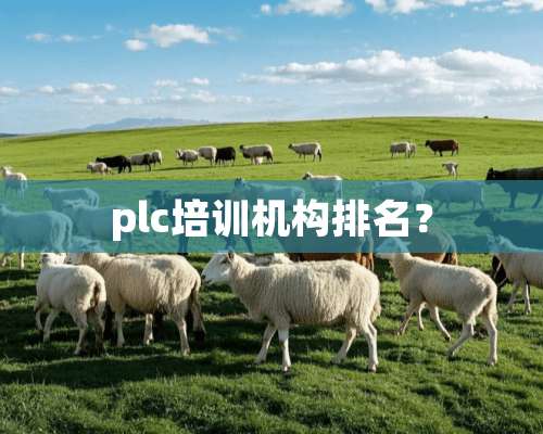 plc培训机构排名？