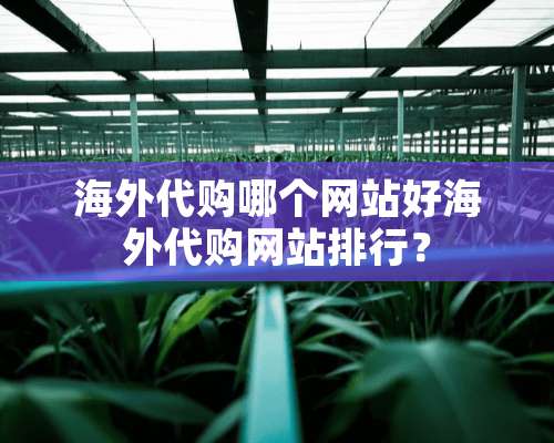 海外代购哪个网站好海外代购网站排行？