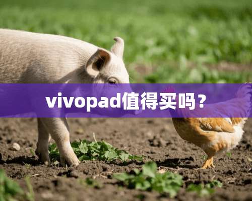 vivopad值得买吗？