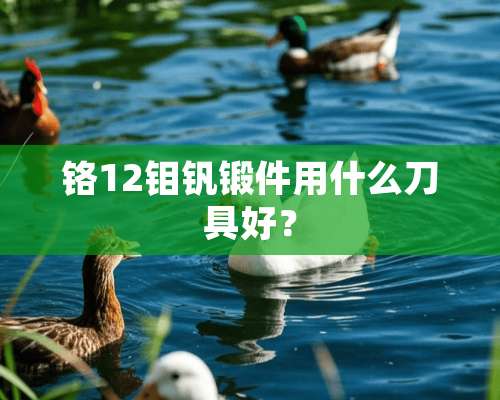 铬12钼钒锻件用什么**好？