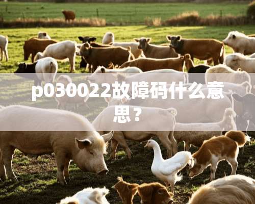 p030022故障码什么意思？