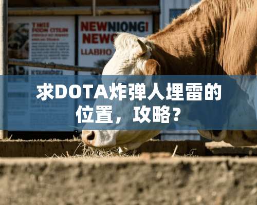 求DOTA**人埋雷的位置，攻略？