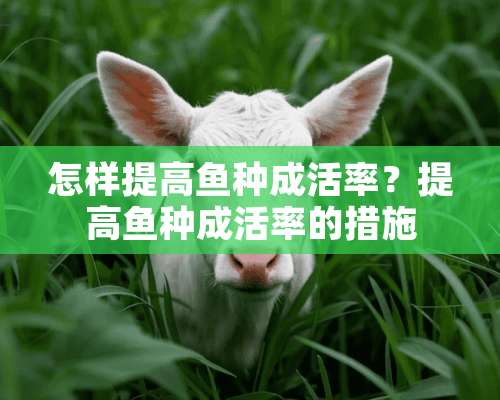 怎样提高鱼种成活率？提高鱼种成活率的措施