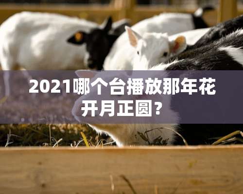 2021哪个台播放那年花开月正圆？