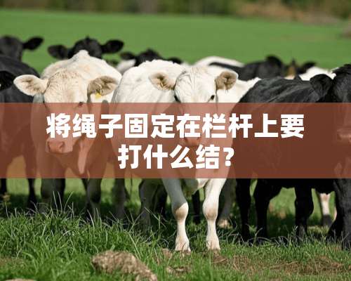 将绳子固定在栏杆上要打什么结？