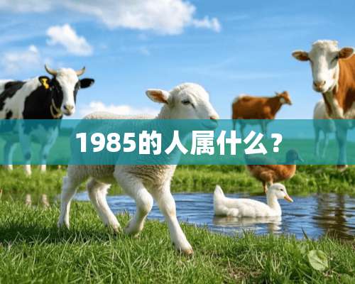 1985的人属什么？