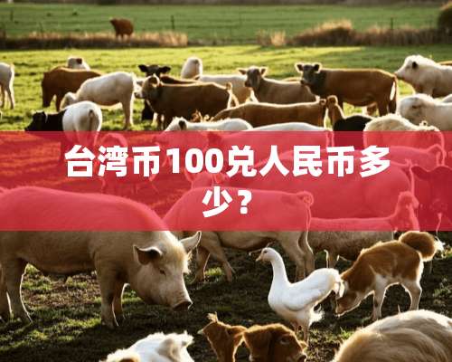 **币100兑人民币多少？