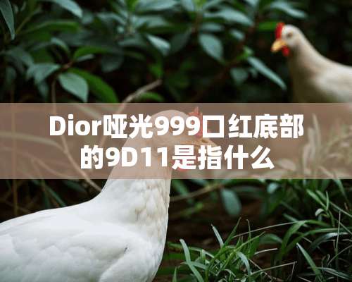 Dior哑光999口红底部的9D11是指什么