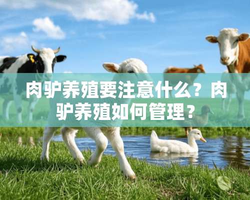 肉驴养殖要注意什么？肉驴养殖如何管理？