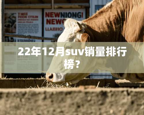 22年12月suv销量排行榜？