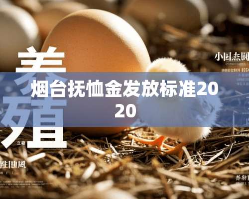 烟台抚恤金发放标准2020